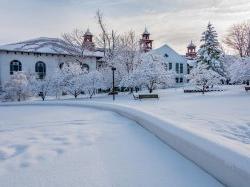 沿着通往学院大厅的校园人行道，到处都被雪覆盖着.